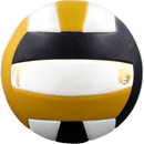 Perfection Leather Volleyball