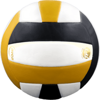 Perfection Leather Volleyball