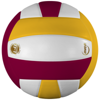 Perfection Leather Volleyball