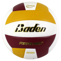 Perfection Leather Volleyball