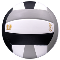 Perfection Leather Volleyball