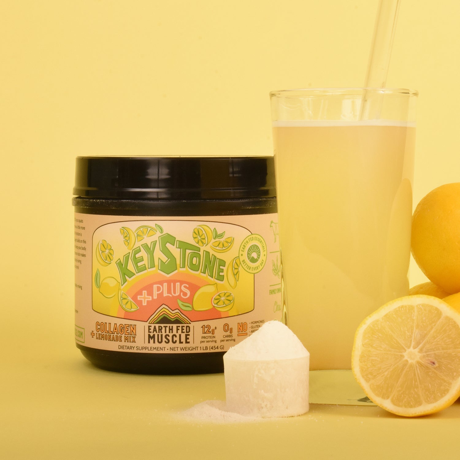 Keystone Plus Collagen Lemonade Mix - HECOstix