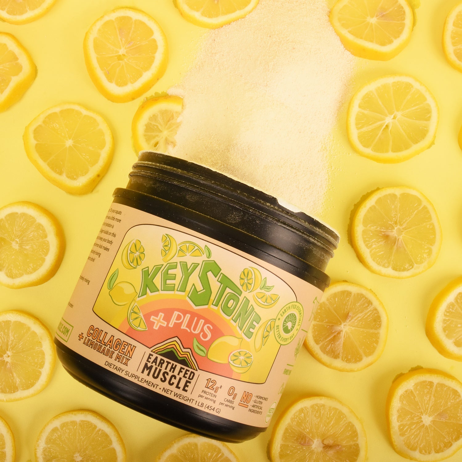 Keystone Plus Collagen Lemonade Mix - HECOstix