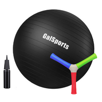 Exercise Ball + HECOstix Bundle - HECOstix