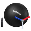 Exercise Ball + HECOstix Bundle - HECOstix